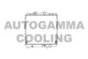 AUTOGAMMA 101435 Radiator, engine cooling